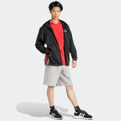 adicolor Adibreak Hoodie