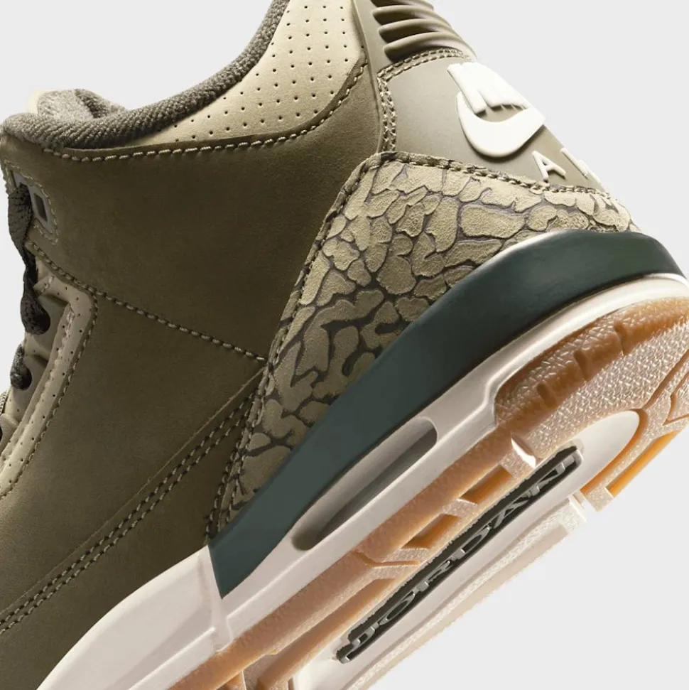 Air Jordan 3 Retro "Family Affair" (GS)