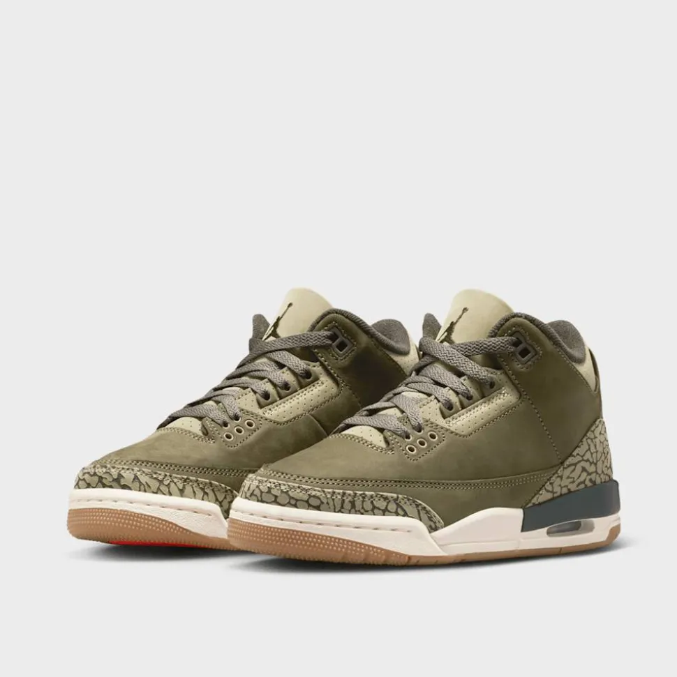 Air Jordan 3 Retro "Family Affair" (GS)
