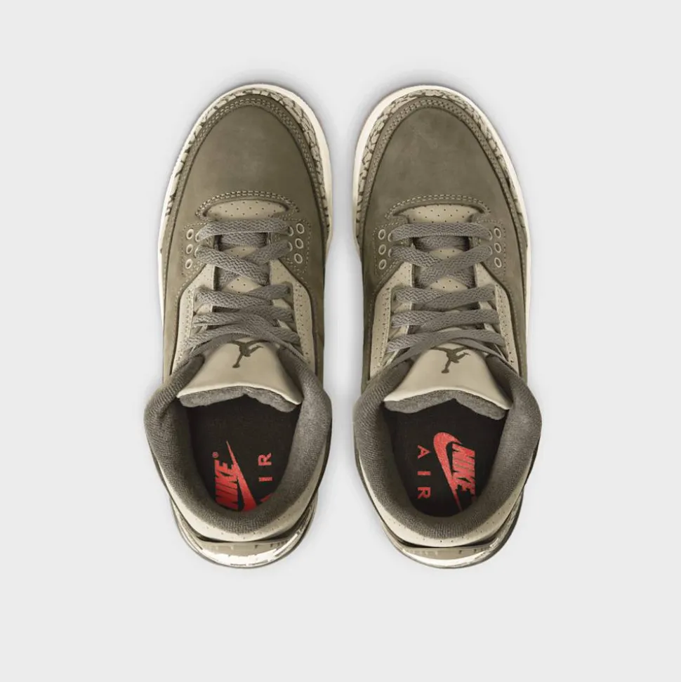 Air Jordan 3 Retro "Family Affair" (GS)