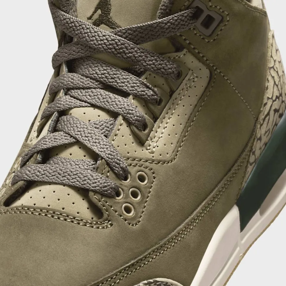 Air Jordan 3 Retro "Family Affair" (GS)