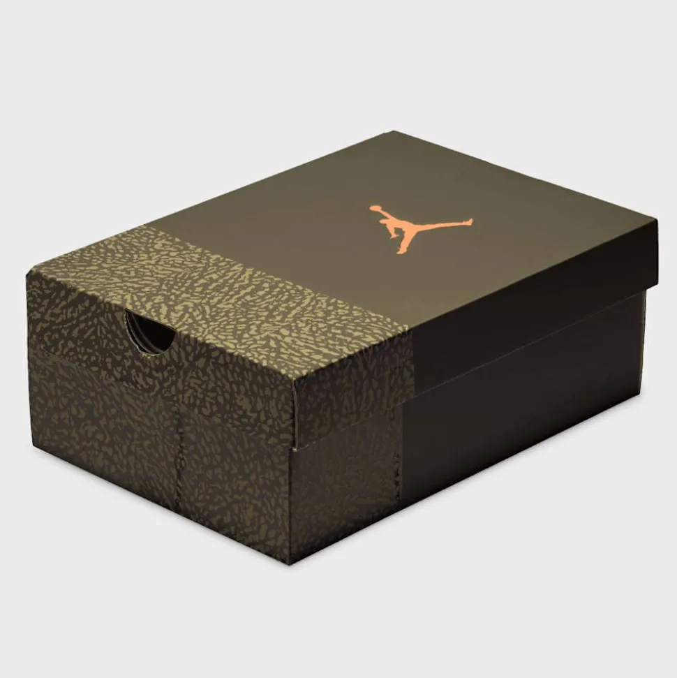 Air Jordan 3 Retro "Family Affair" (GS)