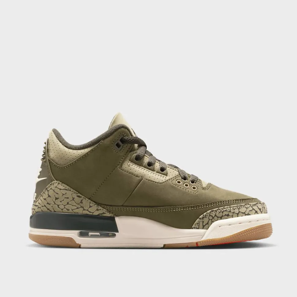 Air Jordan 3 Retro "Family Affair" (GS)