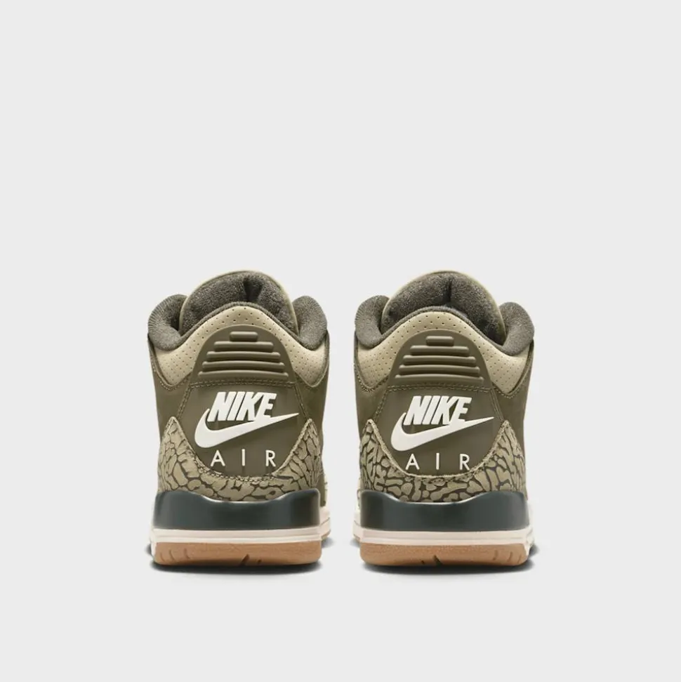 Air Jordan 3 Retro "Family Affair" (GS)