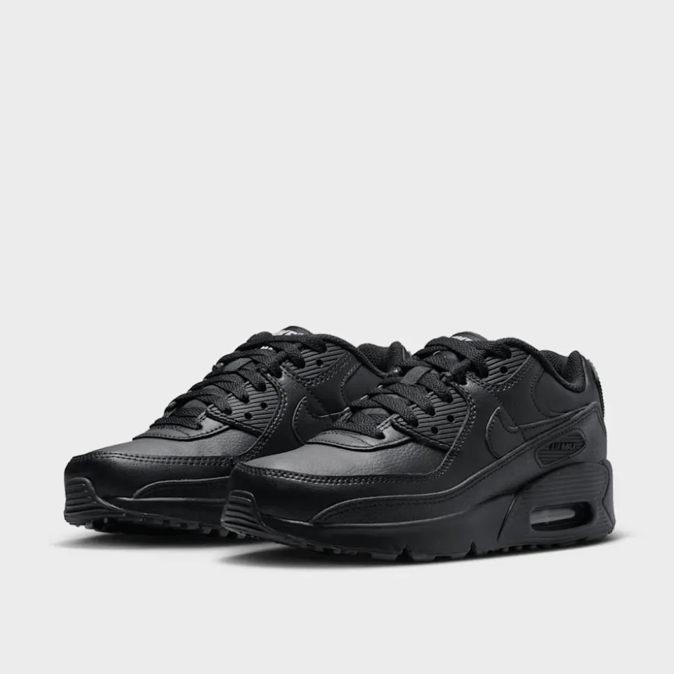 Air Max 90 LTR (GS)
