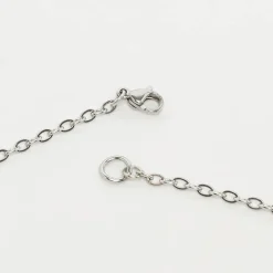 Bear Chain Waterfall