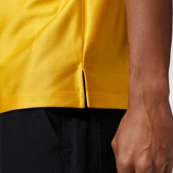 Brasil Polo