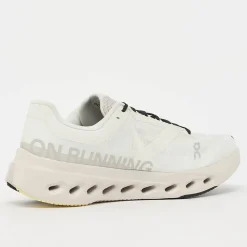 Cloudsurfer Next