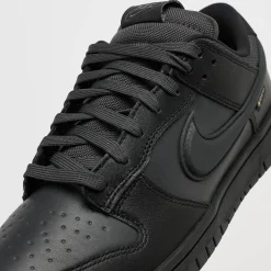 Dunk Low GTX