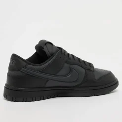 Dunk Low GTX