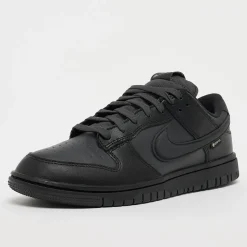 Dunk Low GTX