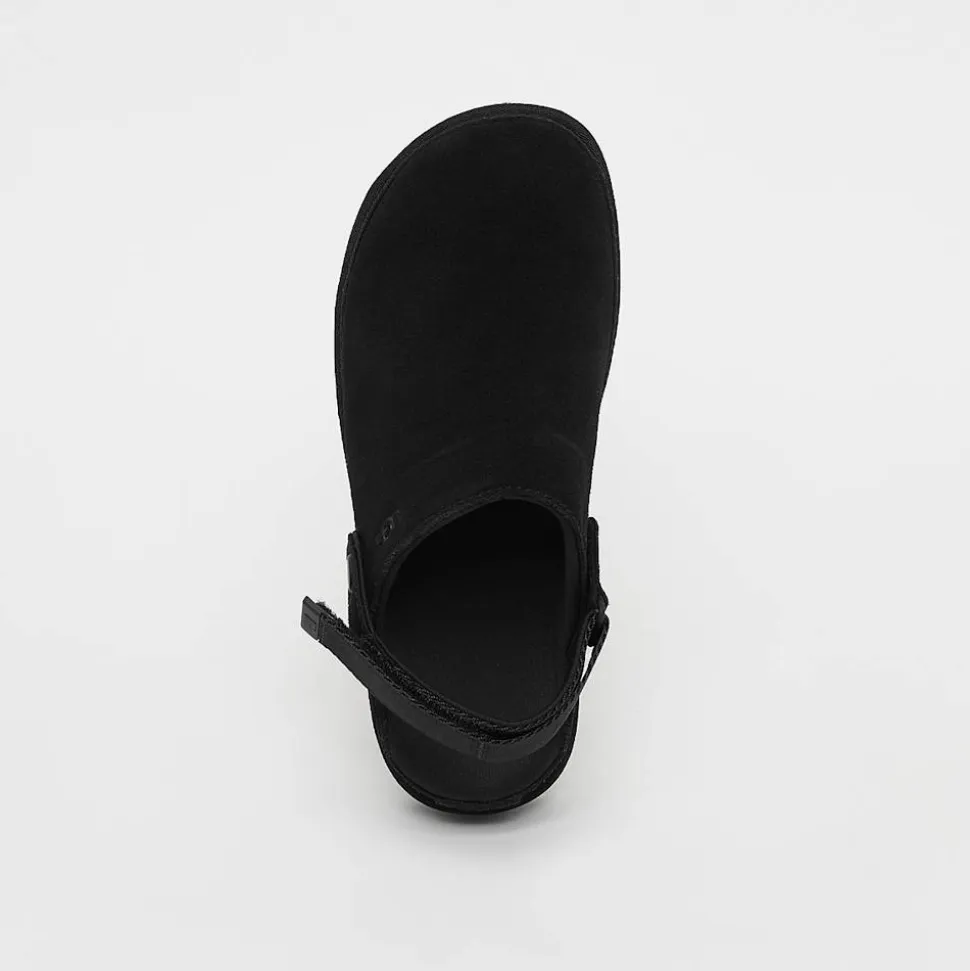 Goldenstar Clog