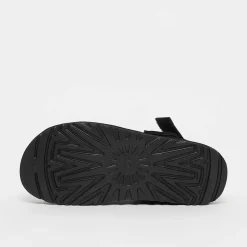 Goldenstar Clog