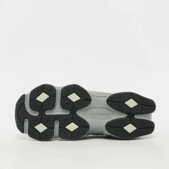 9060 (GS)