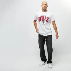 NBA Chicago Bulls Team Arch