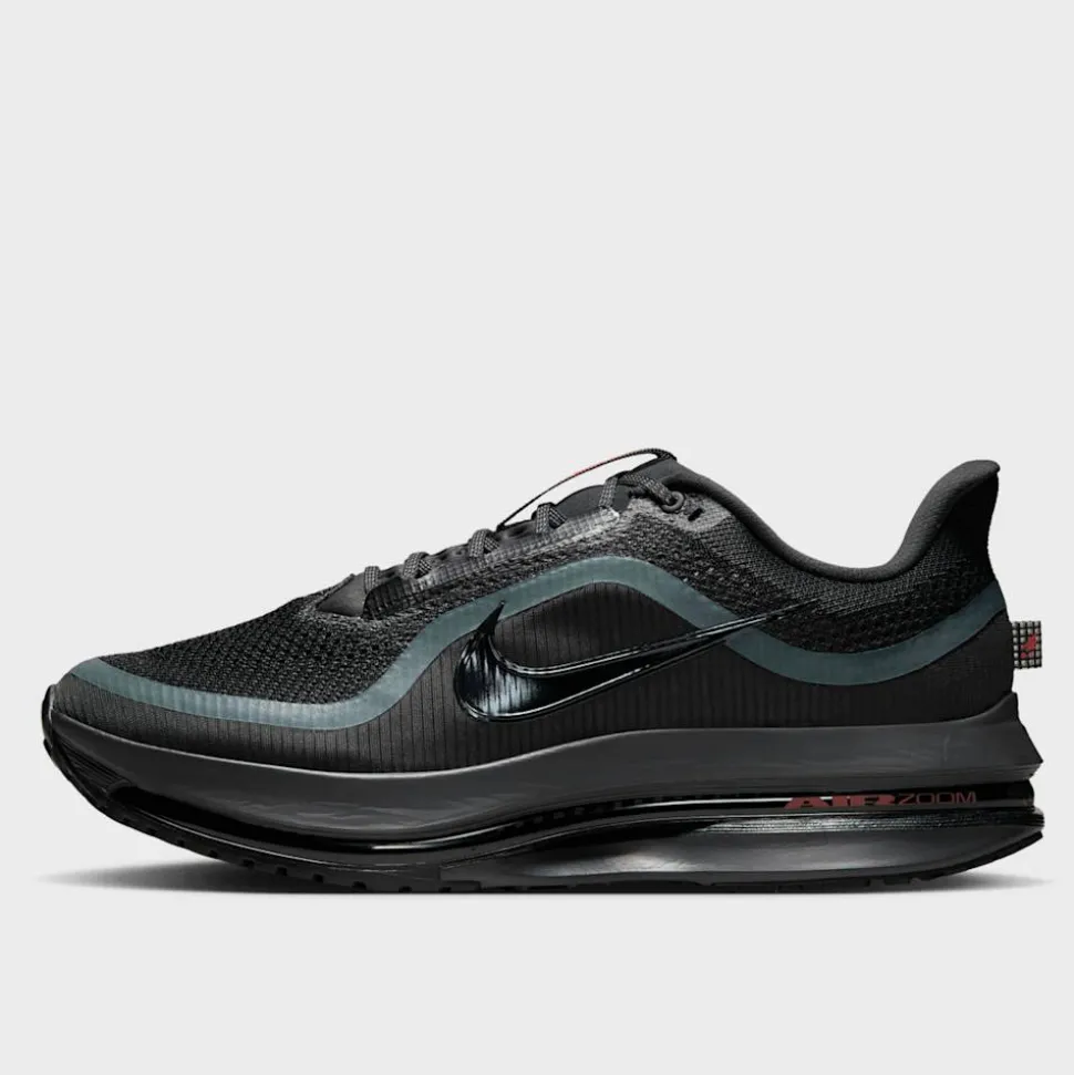 Nike Pegasus Premium
