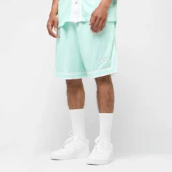 Small Varsity Logo Pinstripe Mesh Shorts