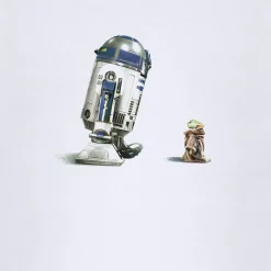 Star Wars Mandalorian R2D2 Grogu Loose Tee
