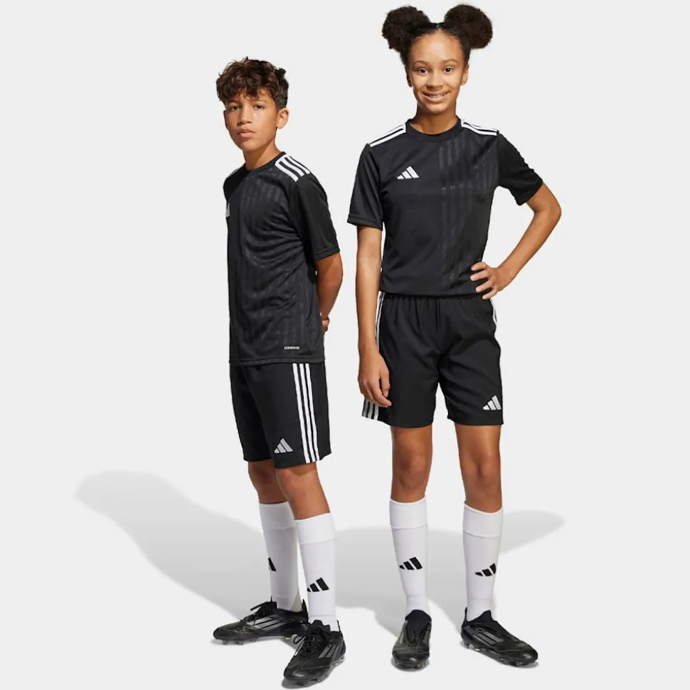 Tastigo 25 Shorts