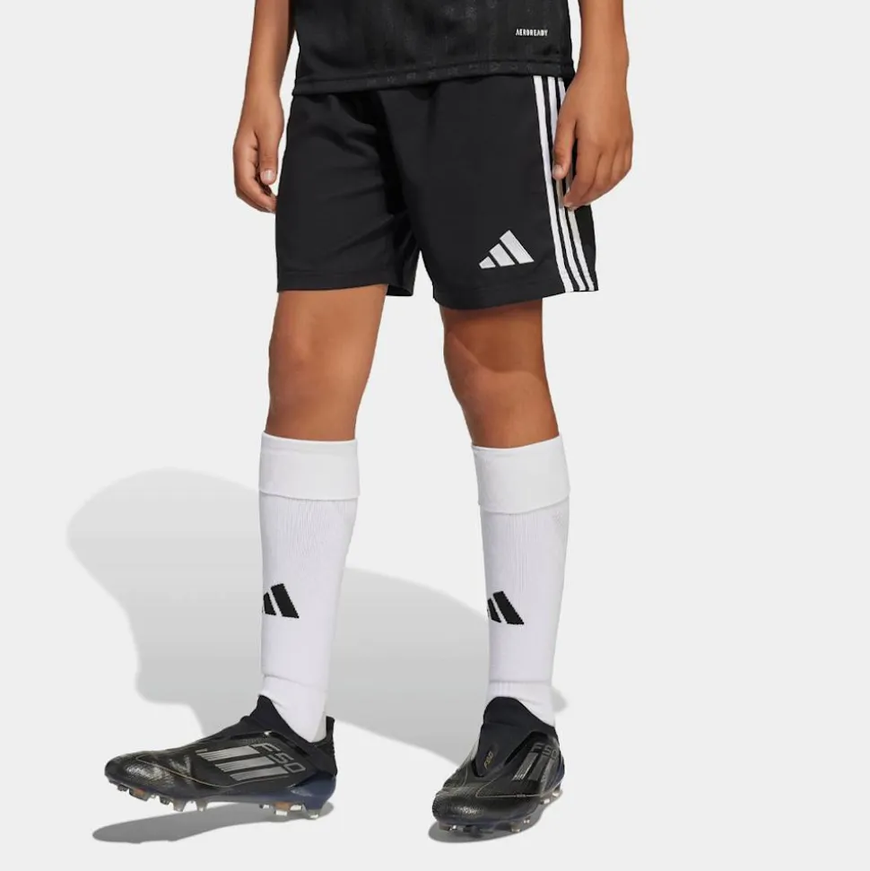 Tastigo 25 Shorts