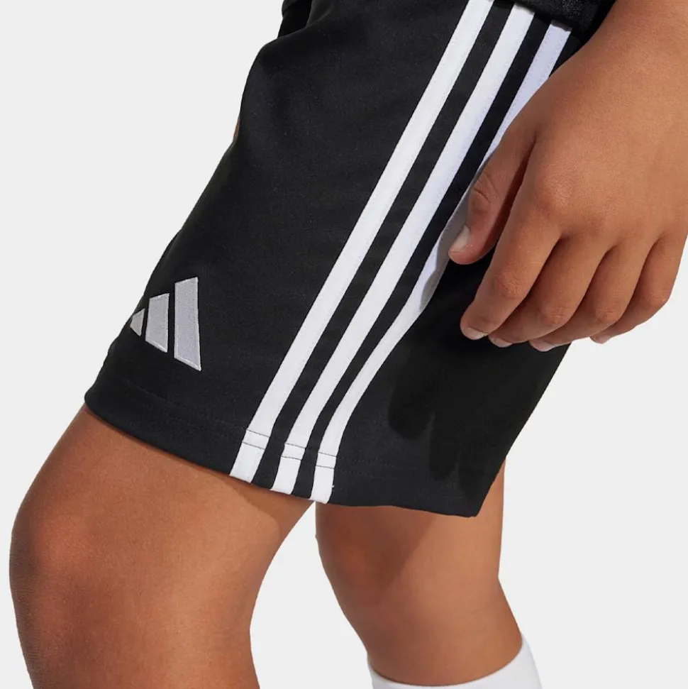 Tastigo 25 Shorts