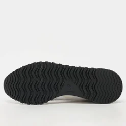 Tiger Runner II