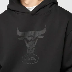 Tonal Logo Hoodie Chicago Bulls