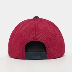 Trucker Premuim Cap Wild Eagle